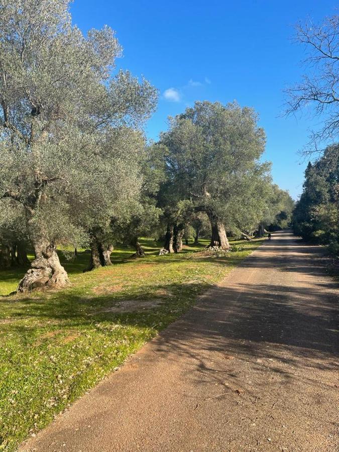 Da Ksenia Ξενοδοχείο Ceglie Messapica Εξωτερικό φωτογραφία